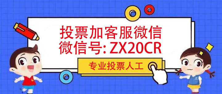 公开：投票人工团队8元1000票背后的秘密缩略图